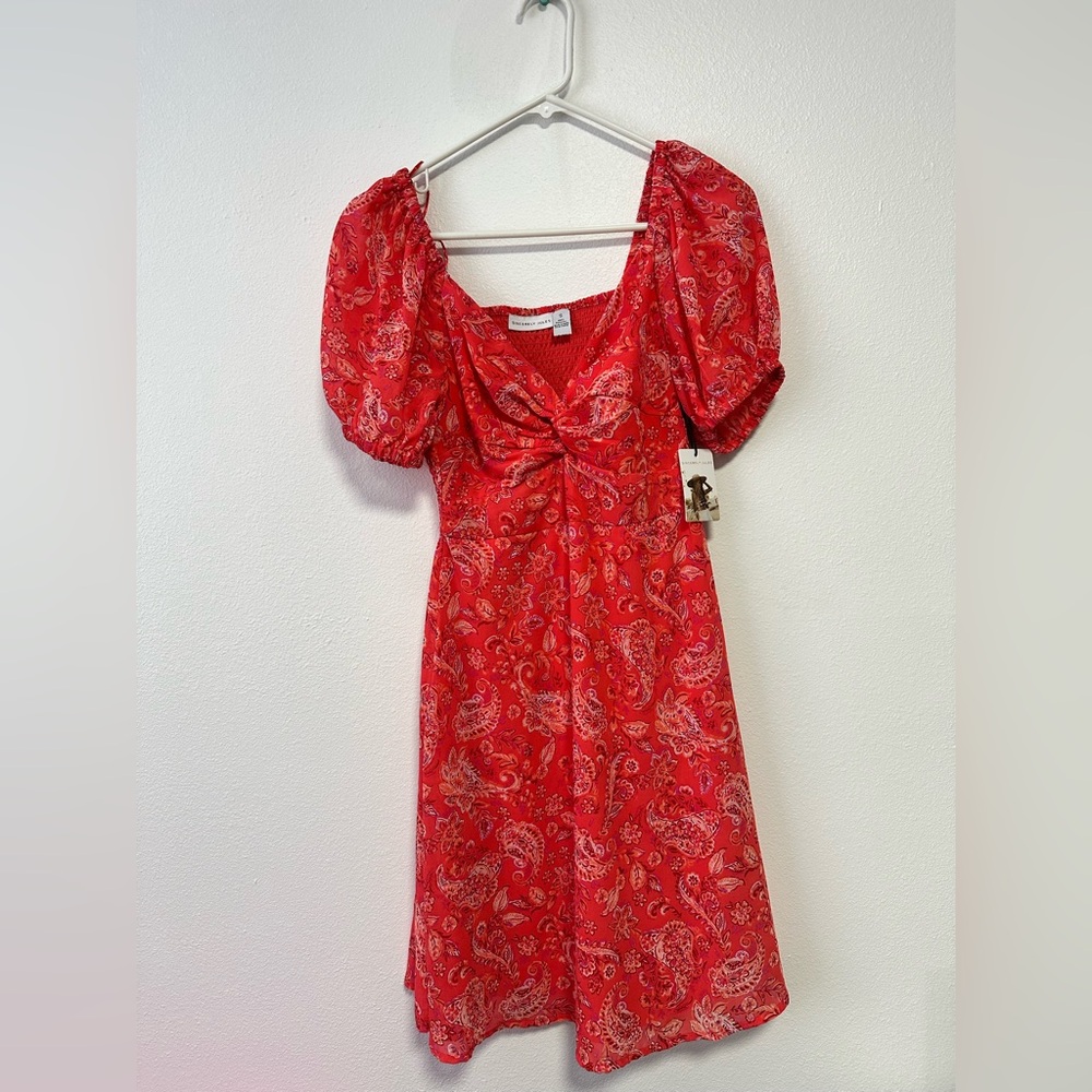 Pink Paisley Puff Sleeve Dress